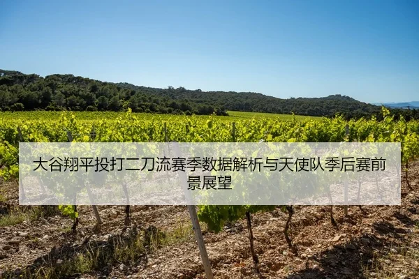 大谷翔平投打二刀流赛季数据解析与天使队季后赛前景展望