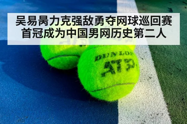 ATP tennis match action