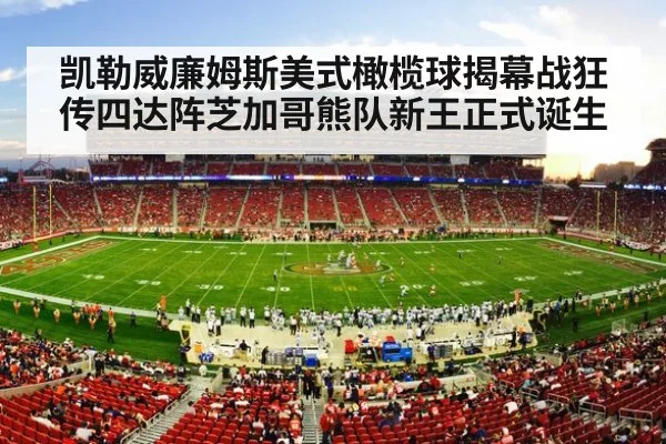 NFL game action stadium night
